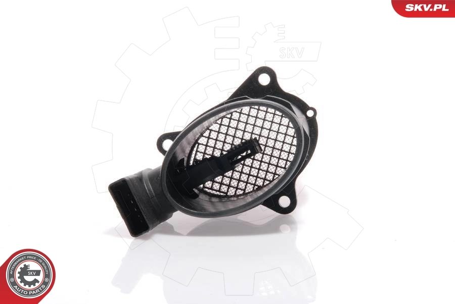 Mass Air Flow Sensor